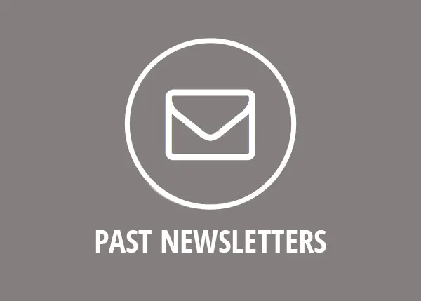 Past Newsletters icon